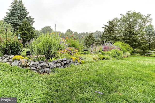 10 Elser Hill Rd, Lititz, PA 17543 - view of yard