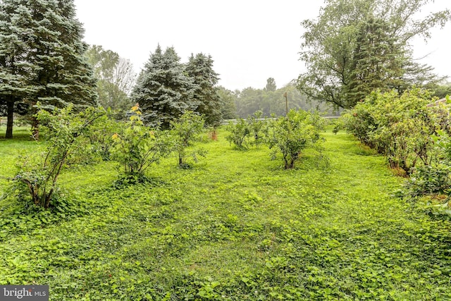 10 Elser Hill Rd, Lititz, PA 17543 - view of yard