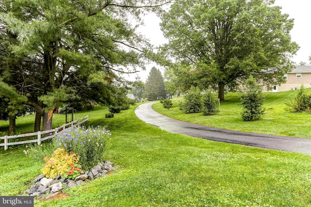 10 Elser Hill Rd, Lititz, PA 17543 - view of property's community