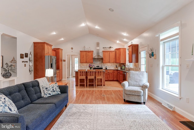 10 Elser Hill Rd, Lititz, PA 17543 - living room with vaulted ceiling and light wood-type flooring