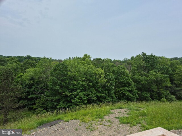 487 Haps Dr, Benezette, PA 15821 - view of wooded area