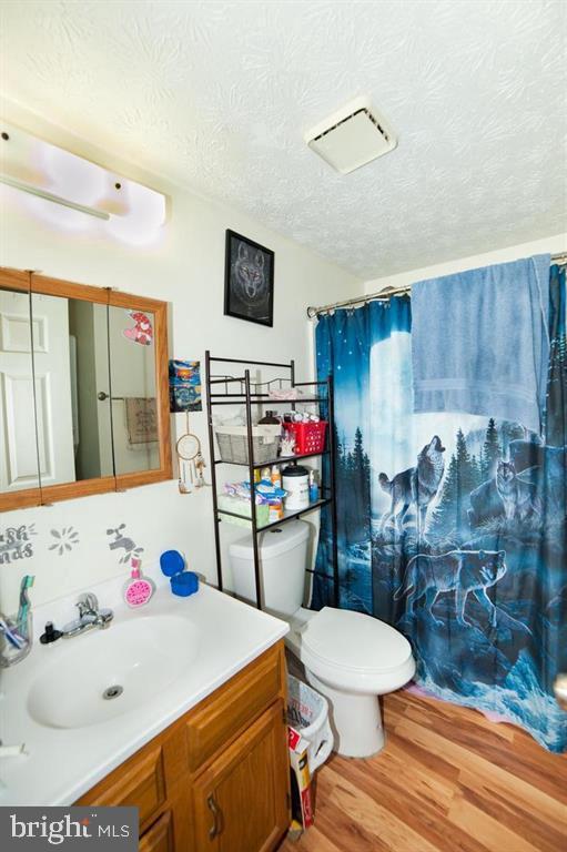505 Northview Rd, Mount Airy, MD 21771 - bathroom featuring vanity, wood finished floors, a textured ceiling, and curtained shower