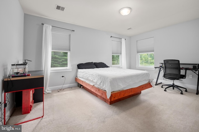 694 Ridge Rd, Telford, PA 18969 - bedroom with carpet