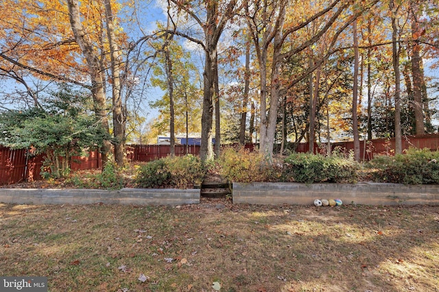 14361 Springbrook Ct, Woodbridge, VA 22193 - view of yard