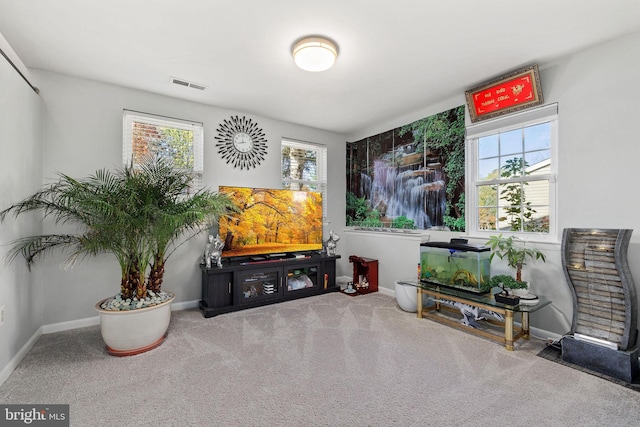 14361 Springbrook Ct, Woodbridge, VA 22193 - living area with carpet floors and baseboards