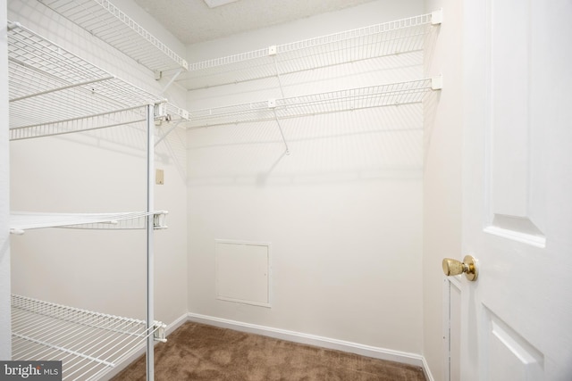 753 Canvasback Ct Unit 204, Salisbury, MD 21804 - spacious closet with carpet