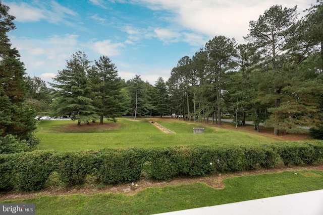 753 Canvasback Ct Unit 204, Salisbury, MD 21804 - view of home's community with a lawn