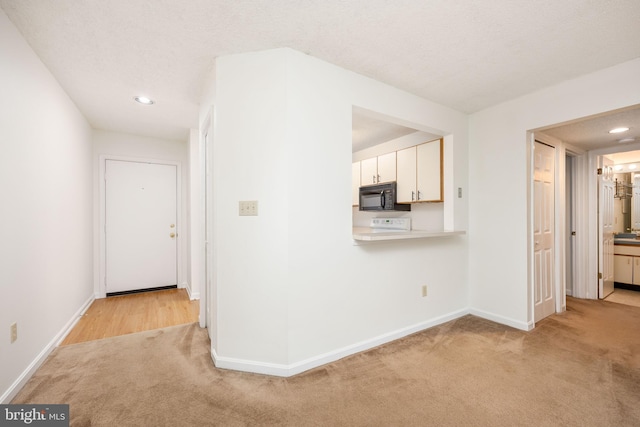 753 Canvasback Ct Unit 204, Salisbury, MD 21804 - corridor featuring light carpet and recessed lighting