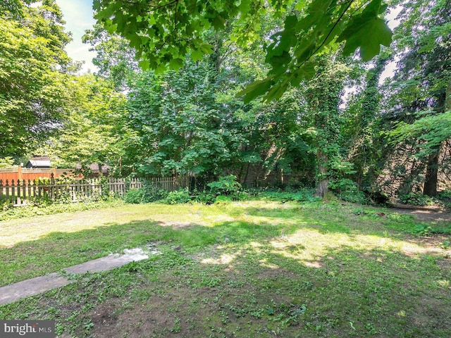 110 E Ashland St, Doylestown, PA 18901 - view of yard