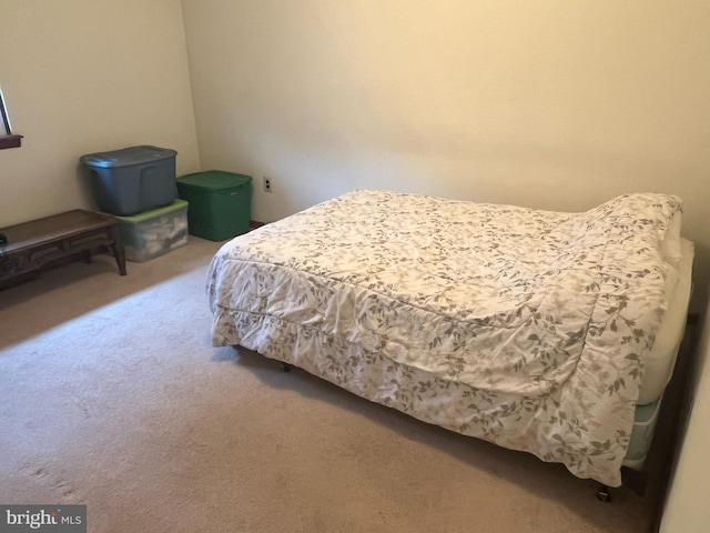 300 W New St, Glassboro, NJ 08028 - view of carpeted bedroom