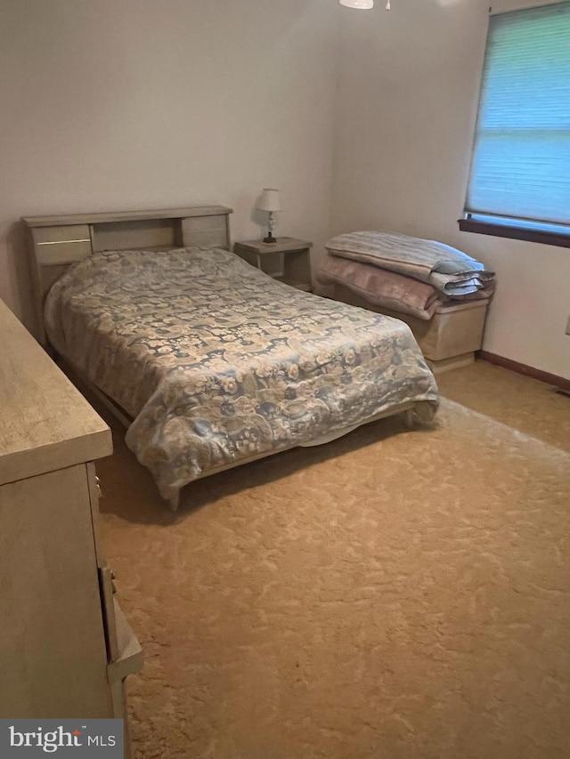 300 W New St, Glassboro, NJ 08028 - bedroom featuring light colored carpet