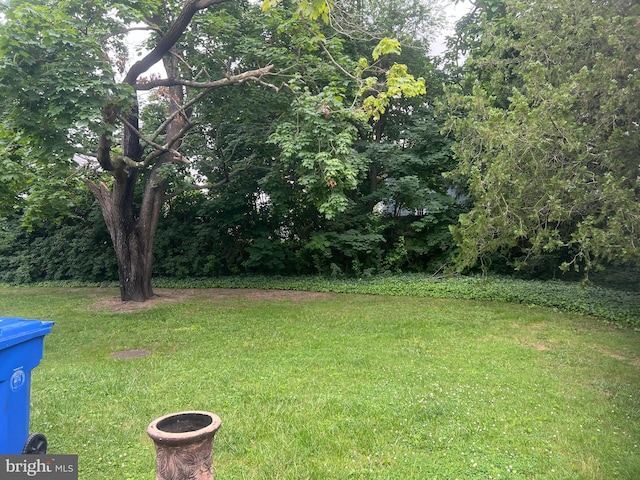 300 W New St, Glassboro, NJ 08028 - view of green lawn