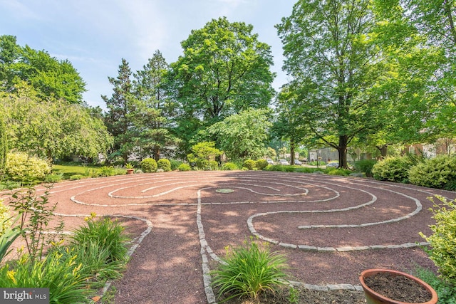 114 E Ashland St, Doylestown, PA 18901 - view of sport court featuring view of wooded area