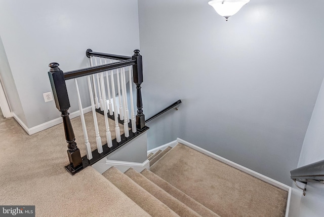 107 Pelican Cv, Stafford, VA 22554 - stairs featuring baseboards and carpet floors
