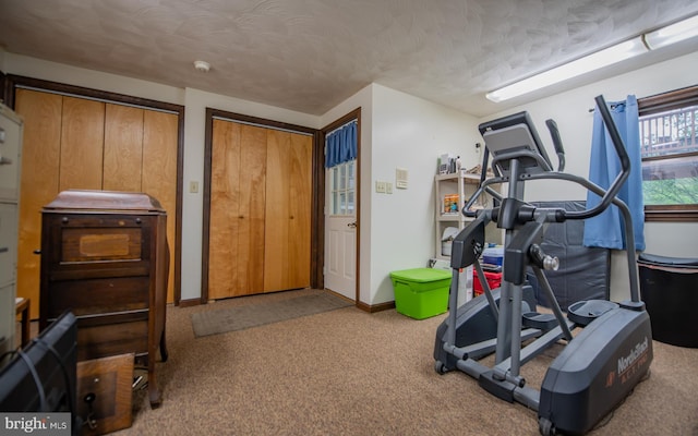 1 Emerald St, Mill Hall, PA 17751 - exercise room featuring carpet floors and a textured ceiling