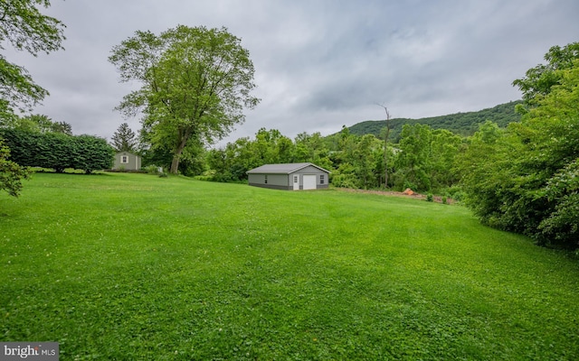 1 Emerald St, Mill Hall, PA 17751 - view of green lawn with a view of trees and a garage