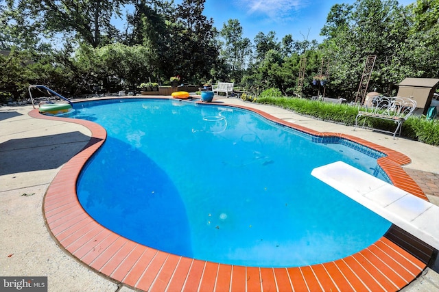 1722 Swamp Pike, Gilbertsville, PA 19525 - outdoor pool featuring a diving board, view of scattered trees, and a patio
