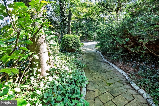 1722 Swamp Pike, Gilbertsville, PA 19525 - view of yard