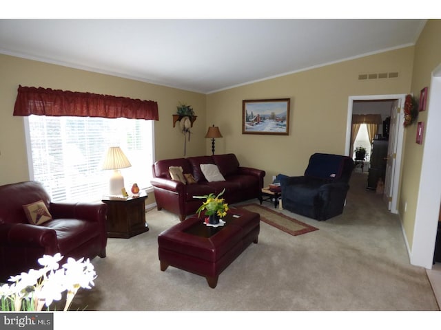 277 W 4th St, Red Hill, PA 18076 - living area with carpet flooring, ornamental molding, and lofted ceiling