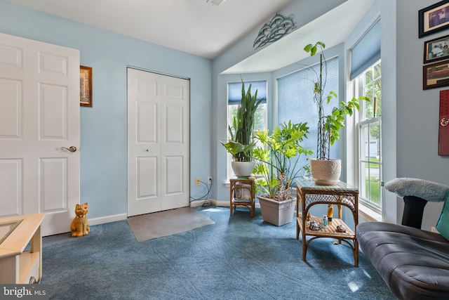 32618 Seaview Loop, Millsboro, DE 19966 - sitting room with carpet floors and baseboards