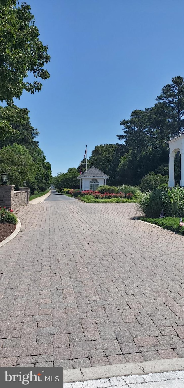 32618 Seaview Loop, Millsboro, DE 19966 - view of street