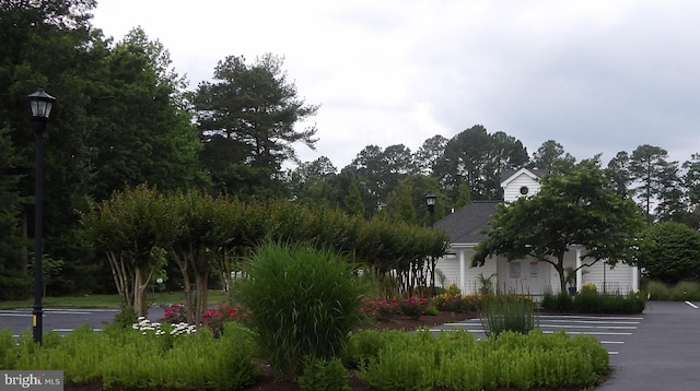 32618 Seaview Loop, Millsboro, DE 19966 - view of property's community
