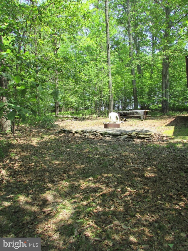 293 Snow Shoe Mountain Forest Rd, Snow Shoe, PA 16874 - view of yard