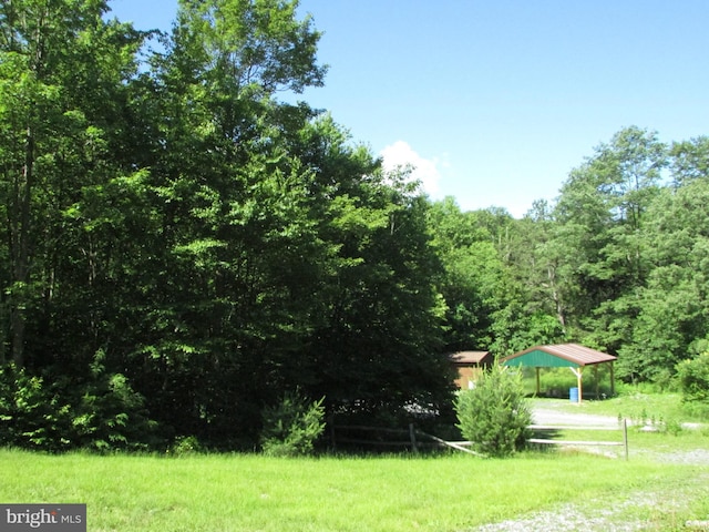 293 Snow Shoe Mountain Forest Rd, Snow Shoe, PA 16874 - view of yard with a detached carport and a wooded view