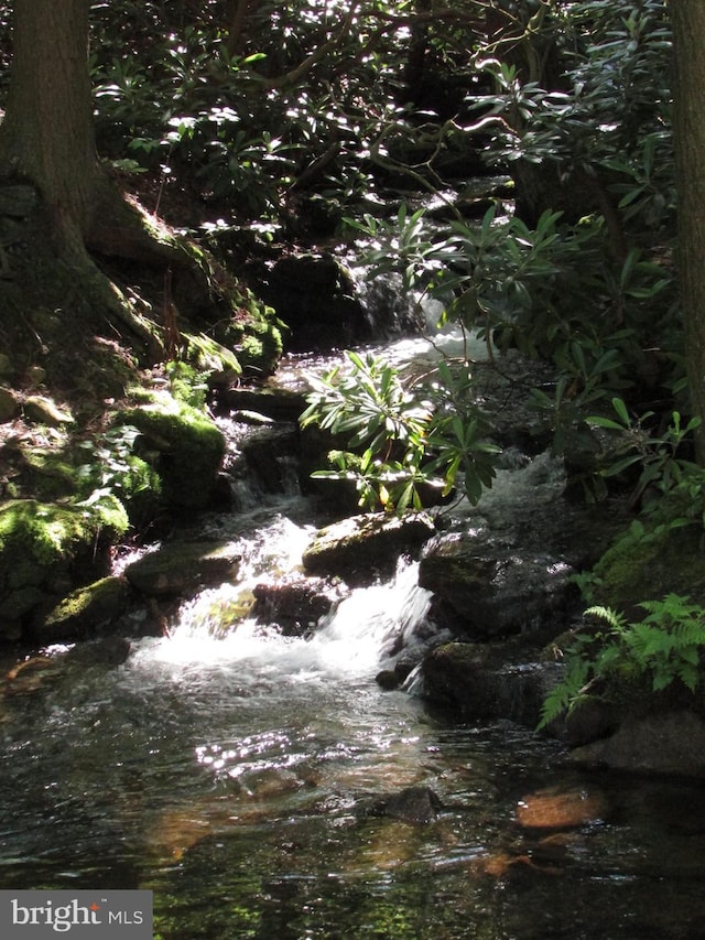 293 Snow Shoe Mountain Forest Rd, Snow Shoe, PA 16874 - view of nature