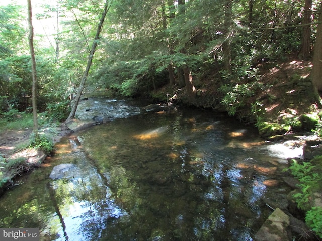 293 Snow Shoe Mountain Forest Rd, Snow Shoe, PA 16874 - view of undeveloped land