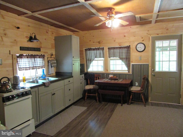 293 Snow Shoe Mountain Forest Rd, Snow Shoe, PA 16874 - kitchen featuring white gas stove, wood walls, a ceiling fan, wood finished floors, and dark countertops