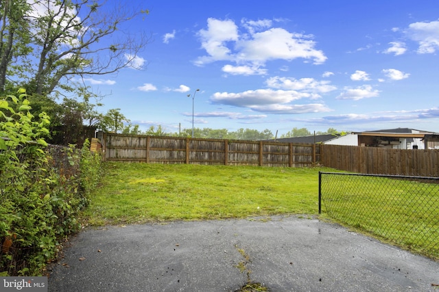 5117 Duel Pl, Capitol Heights, MD 20743 - view of yard