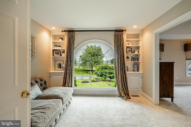 4 Taylor Chase Ln, West Chester, PA 19382 - sitting room featuring carpet floors, recessed lighting, and built in features