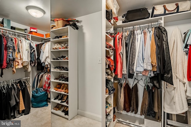4 Taylor Chase Ln, West Chester, PA 19382 - spacious closet with carpet