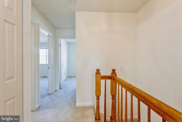8 Tatler Pl, Owings Mills, MD 21117 - hall with light carpet and an upstairs landing