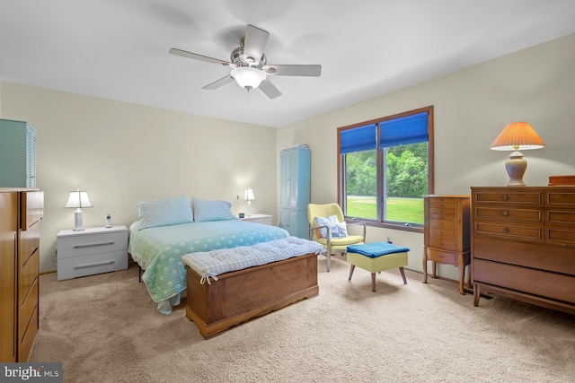 114 Lloyd Guessford Rd, Townsend, DE 19734 - carpeted bedroom with ceiling fan