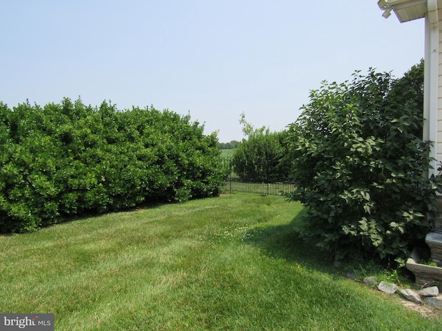 3590 Choptank Rd, Preston, MD 21655 - view of yard