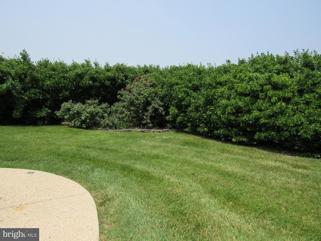 3590 Choptank Rd, Preston, MD 21655 - view of grassy yard