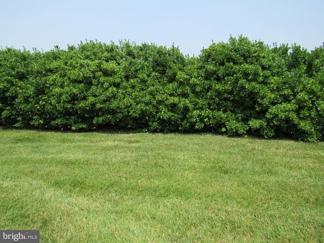 3590 Choptank Rd, Preston, MD 21655 - view of grassy yard