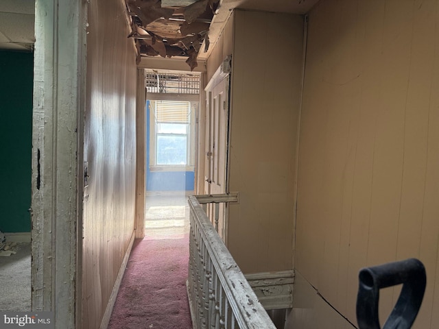 1031 N Ashburton St, Baltimore, MD 21216 - hall featuring carpet flooring