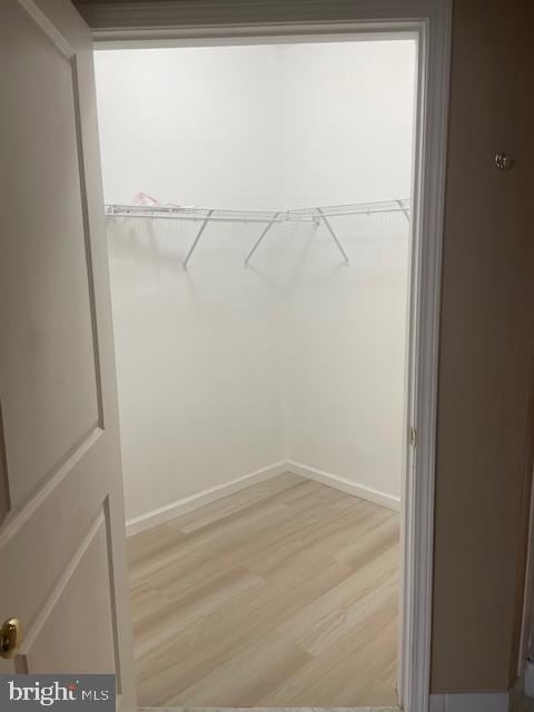 103 Raphael Ct, Williamstown, NJ 08094 - walk in closet featuring light wood-style floors