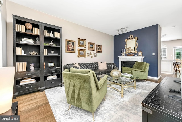 1246 Vintage Pl, Reston, VA 20194 - living room with wood finished floors, track lighting, and a glass covered fireplace