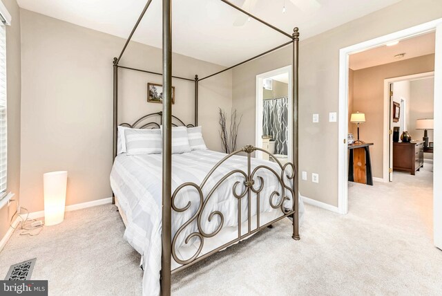 1246 Vintage Pl, Reston, VA 20194 - bedroom with carpet floors