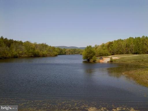 112 Pine Crest Ln, Gordonsville, VA 22942 - water view with a forest