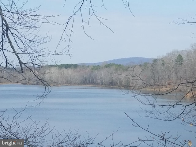 112 Pine Crest Ln, Gordonsville, VA 22942 - water view featuring a heavily wooded area