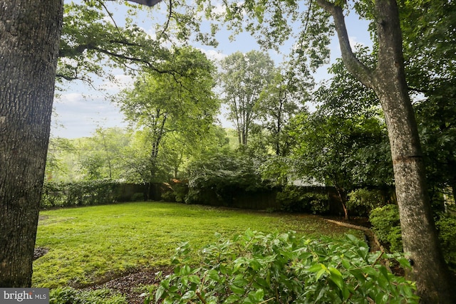 1407 Crestridge Dr, Silver Spring, MD 20910 - view of fenced backyard