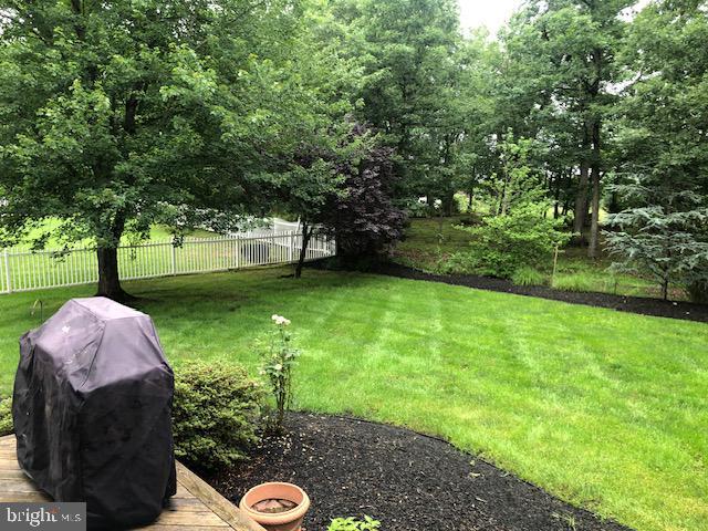 119 Artillery Rd, Winchester, VA 22602 - view of yard