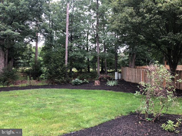 119 Artillery Rd, Winchester, VA 22602 - view of yard