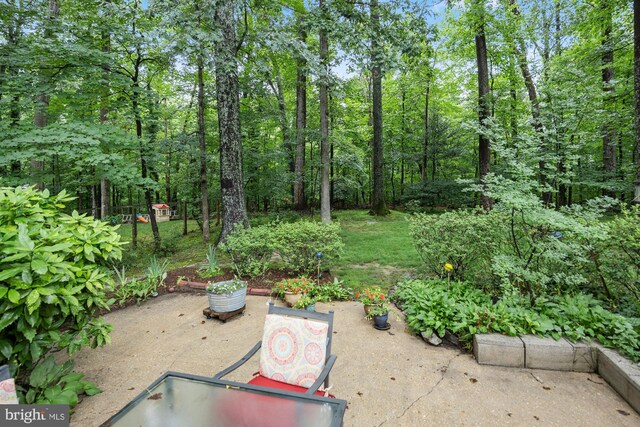 8306 Winslow Ave, Springfield, VA 22152 - view of patio / terrace