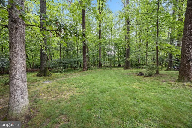 8306 Winslow Ave, Springfield, VA 22152 - view of grassy yard featuring a wooded view
